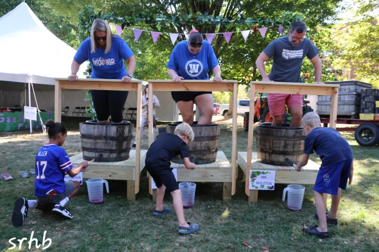 Westfield Grape, Wine Festival is Friday, Saturday